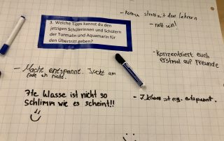 Alumni meeting at the International Montessori School Berlin - Tips for changing schools